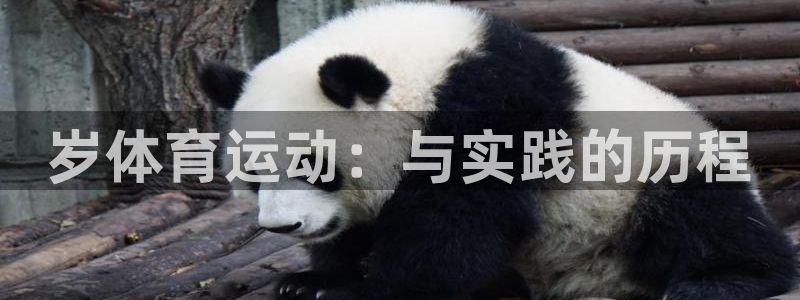 意昂4主管