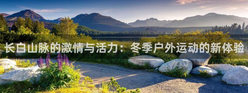 意昂4体育游戏