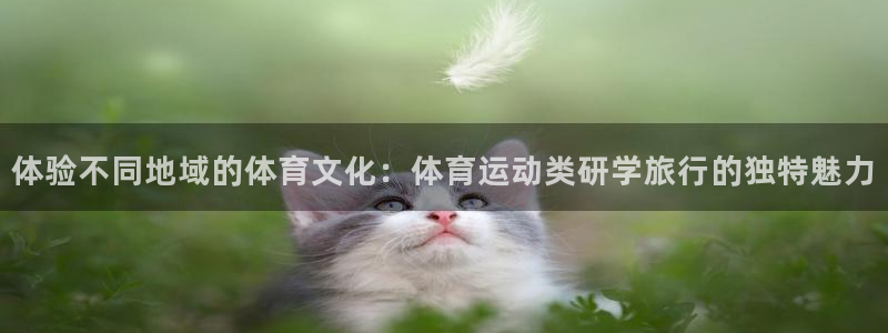 意昂4体育平台开户链接