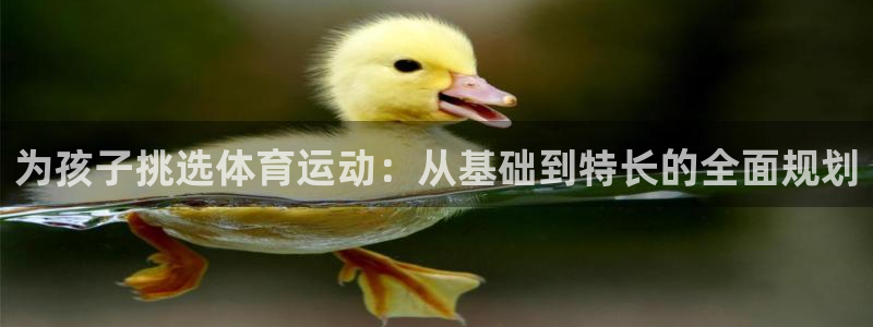 意昂4代理注册官网入口
