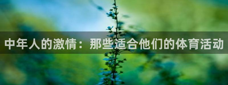 意昂4体育3在线注册