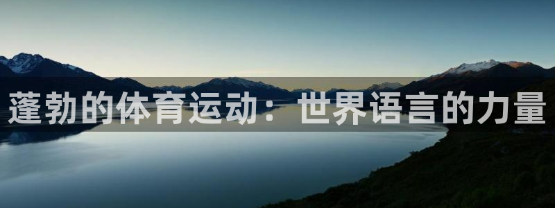 意昂4体育官网