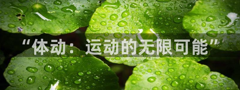意昂4体育官网