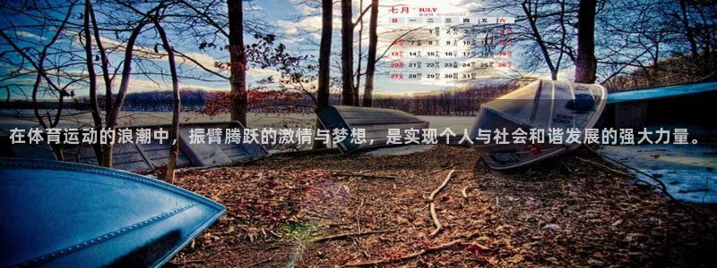 意昂4是大平台吗