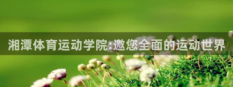 意昂4官网