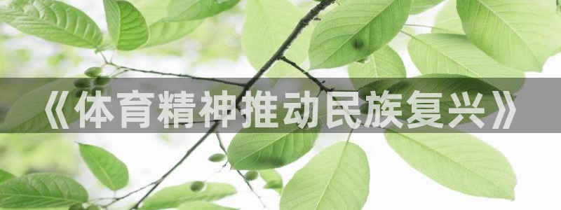 意昂4登录平台