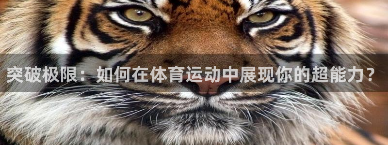 意昂4平台开户链接