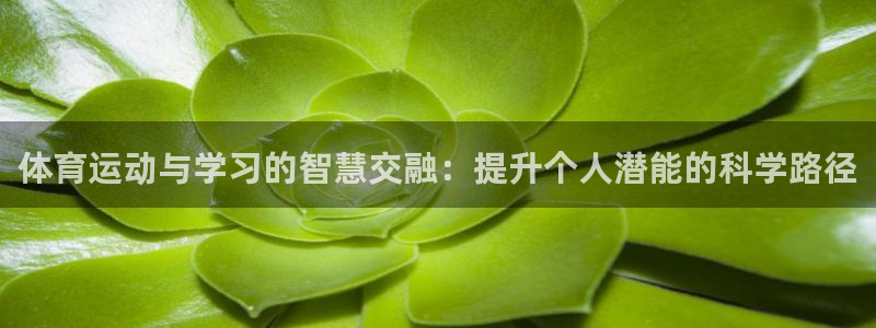 意昂4体育官网注册