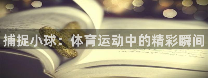 意昂4体育2官网入口