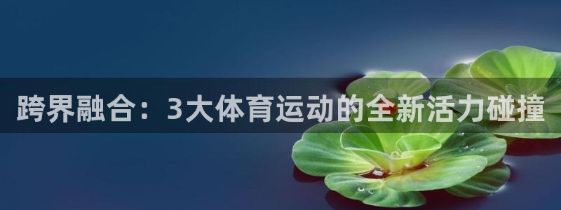 意昂4体育合法嘛