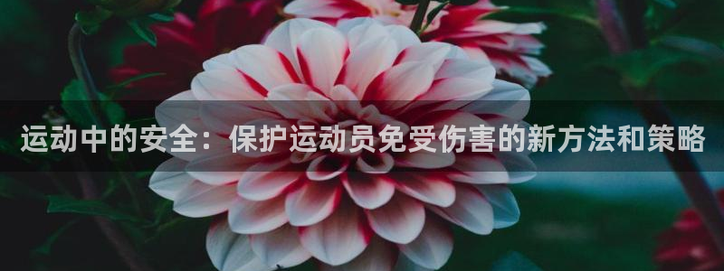 意昂4老板