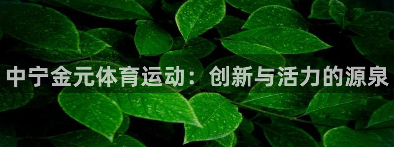 意昂4体育官网登录