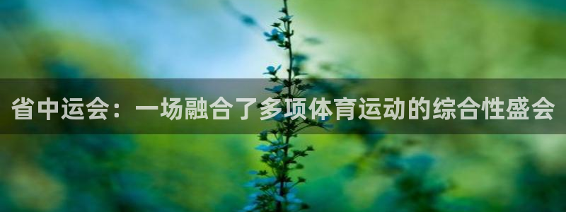 意昂4平台注册