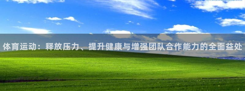 意昂4平台开户链接
