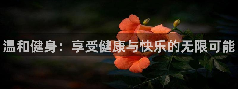 意昂4是大平台吗